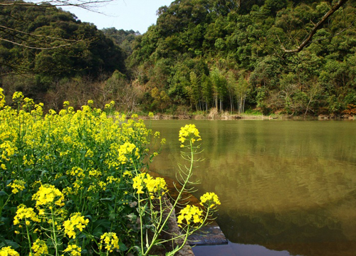 环保乡村